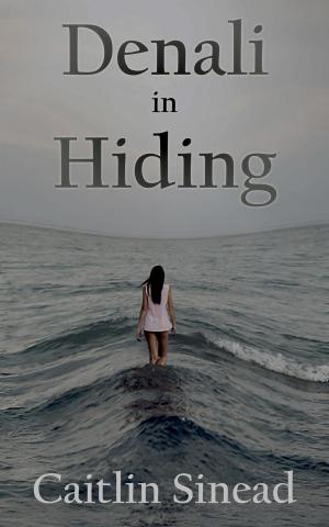 Cover of the book Denali in Hiding by Red L. Jameson