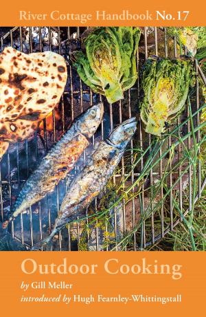 Cover of the book Outdoor Cooking by Sandi Toksvig