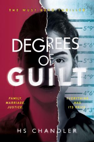 bigCover of the book Degrees of Guilt by 