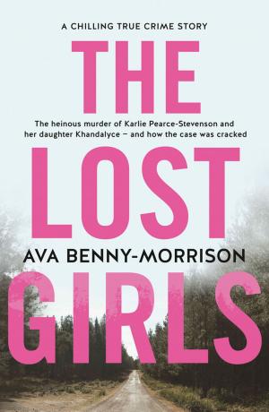 Cover of the book The Lost Girls by Sally Wise