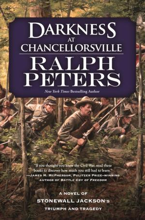 Cover of the book Darkness at Chancellorsville by A. Lee Martinez