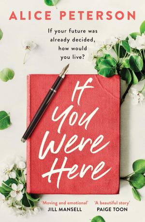 Cover of the book If You Were Here by Steven Butler