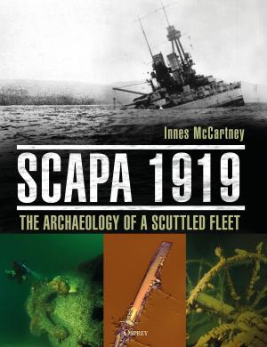 Book cover of Scapa 1919