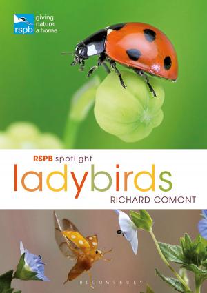 Cover of the book RSPB Spotlight Ladybirds by Willi Goetschel