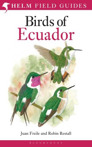 Cover of the book Birds of Ecuador by Karin Doull, Christopher Russell, Alison Hales