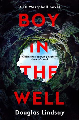 Book cover of Boy in the Well