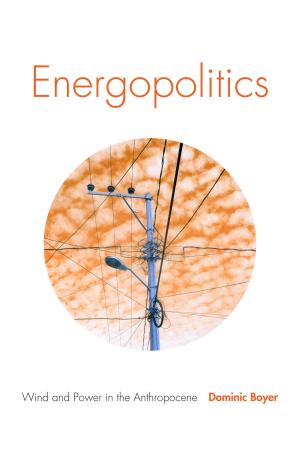Cover of the book Energopolitics by Zakiya Hanafi