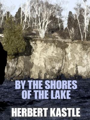 Cover of the book By the Shores of the Lake by Phyllis Ann Karr