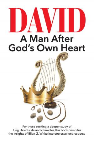 Cover of the book David by Linda Werman Brawner