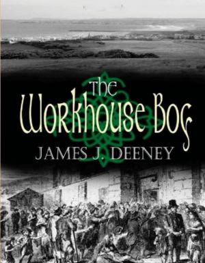 Cover of The Workhouse Boy