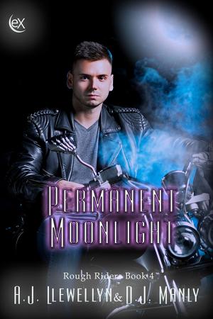 Book cover of Permanent Moonlight