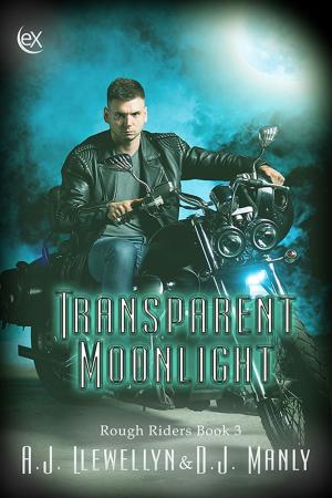 Cover of the book Transparent Moonlight by Derek Adams