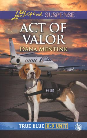 Cover of the book Act of Valor by Valerie Hansen, Hannah Alexander