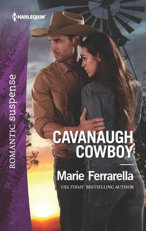Cover of the book Cavanaugh Cowboy by Alfred Bekker, Glenn Stirling, Heinz Squarra, R. S. Stone