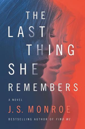 Cover of the book The Last Thing She Remembers by Karma Brown