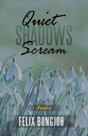 Cover of the book Quiet Shadows Scream by Verling Chako Priest