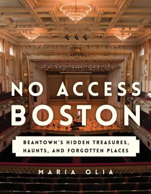 Cover of the book No Access Boston by Laura Jorstad, Melinda Morse