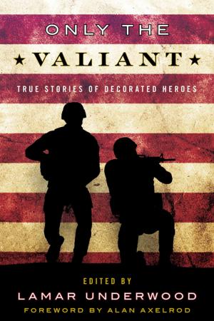 Cover of the book Only the Valiant by Steven Price, Tom McCarthy