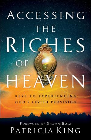 Cover of the book Accessing the Riches of Heaven by Andrew Murray
