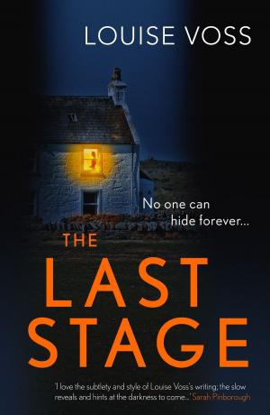 Cover of the book The Last Stage by Lilja Sigurðardóttir