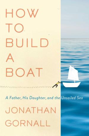 Cover of the book How to Build a Boat by Colm Toibin