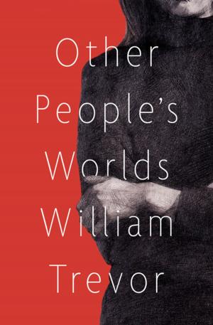 Cover of the book Other People's Worlds by Christopher Bram