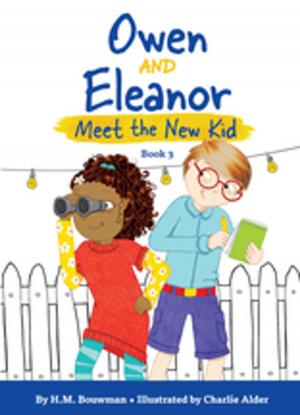 Book cover of Owen and Eleanor Meet the New Kid