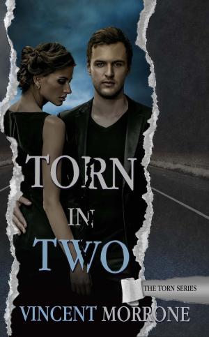 Cover of the book Torn in Two by Roberta C.M. DeCaprio
