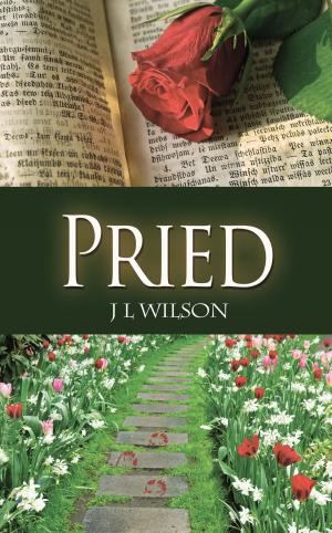Cover of the book Pried by Roberta C.M. DeCaprio