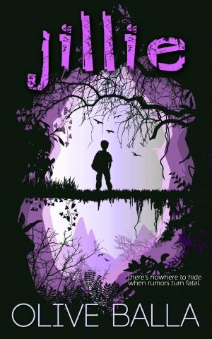 Cover of the book Jillie by Fleeta  Cunningham, Barbara  Edwards, Jan  Romes
