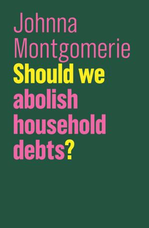 Cover of the book Should We Abolish Household Debts? by David O. Willis