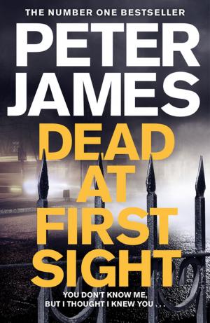 Cover of the book Dead at First Sight by Tanya Goodwin