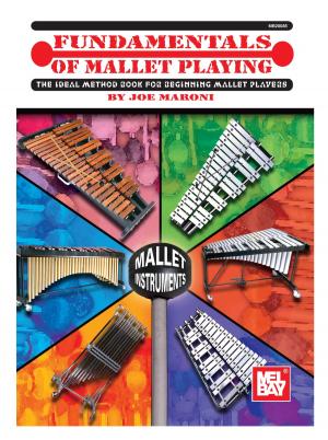Cover of Fundamentals of Mallet Playing