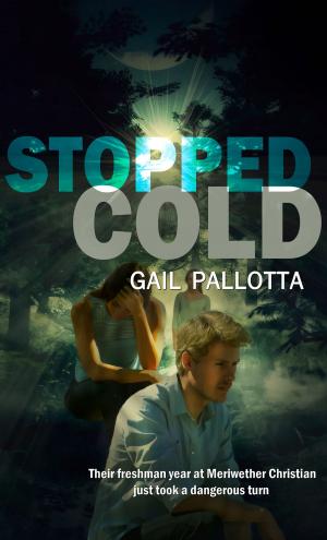 Cover of the book Stopped Cold by Carrie Pagels