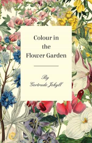 Cover of the book Colour in the Flower Garden by H. G. Wells