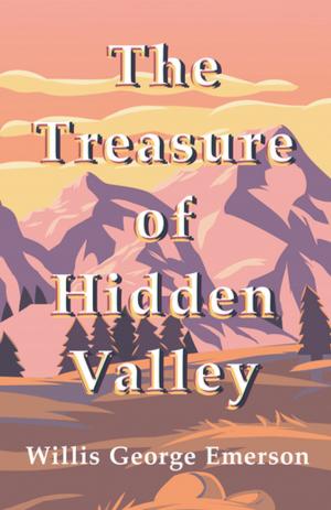 Cover of the book The Treasure of Hidden Valley by E. T. A. Hoffmann