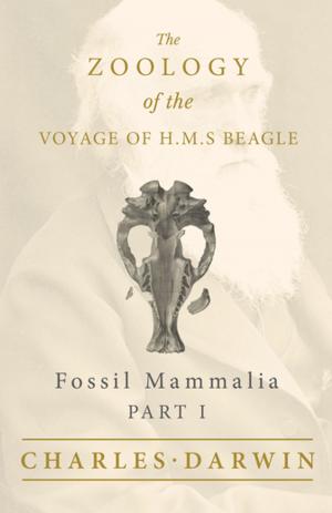 Cover of the book Fossil Mammalia - Part I - The Zoology of the Voyage of H.M.S Beagle by Edmond Fleg