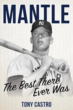 Cover of the book Mantle by Daniel M. Gerstein