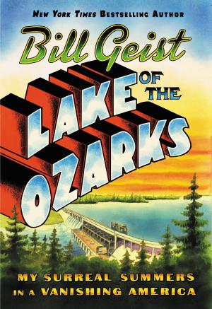 Book cover of Lake of the Ozarks
