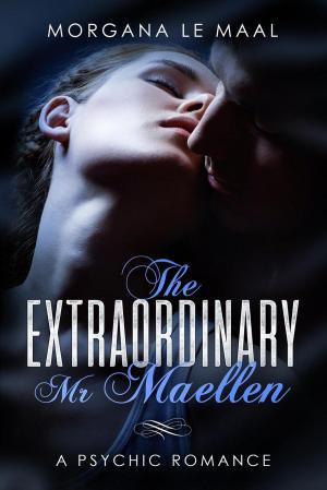 Cover of the book The Extraordinary Mr Maellen by Jamie Sinclair