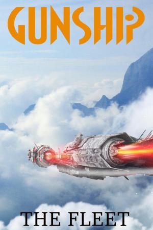 Book cover of Gunship: The Fleet