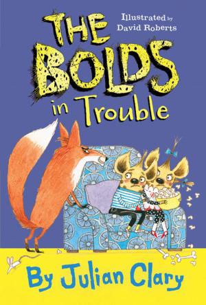 Cover of the book The Bolds in Trouble by Jennifer Boothroyd