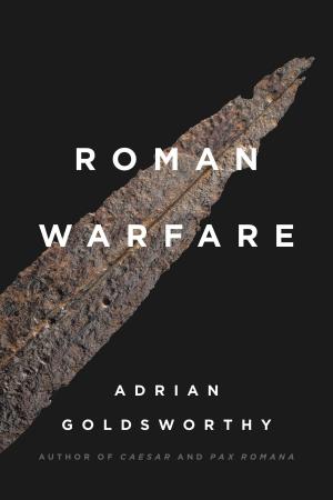 Cover of the book Roman Warfare by David Stevenson