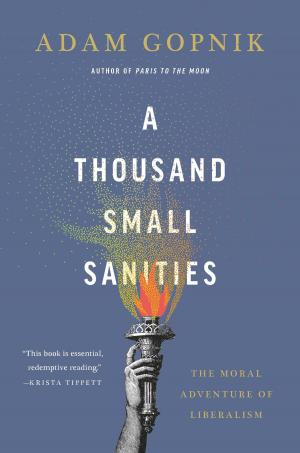 Cover of the book A Thousand Small Sanities by Edwin G. Burrows