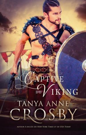 Cover of La Captive du Viking