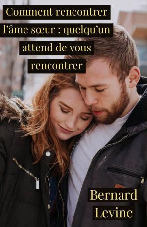 Cover of the book Comment rencontrer l’âme sœur : quelqu’un attend de vous rencontrer by W.J. May