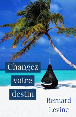 Cover of the book Changez votre destin by Jen Minkman