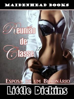 Cover of the book Reunião de classe by D.M. SORLIE
