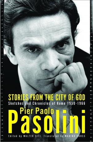 Cover of the book Stories from the City of God by Peter Stamm