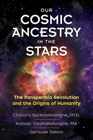 Book cover of Our Cosmic Ancestry in the Stars
